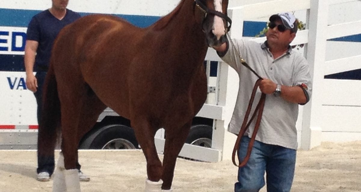 Welcome to the Preakness, California Chrome