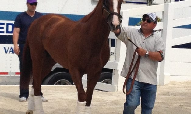 Welcome to the Preakness, California Chrome