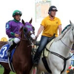 Maryland Horse Breeders Association announces board election results