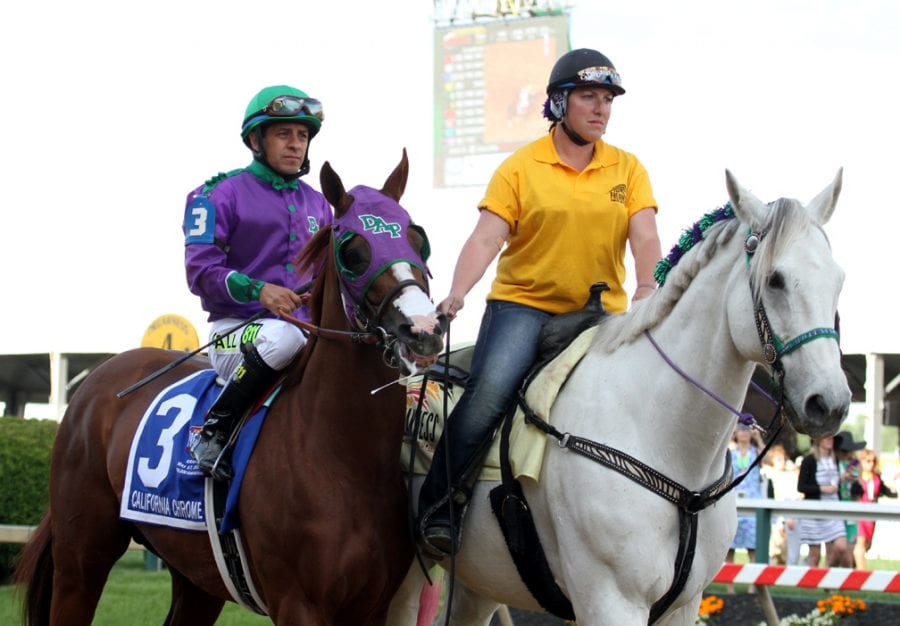 Preakness behind scenes: Photographer and pony girl