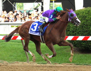 California Chrome. Photo by Laurie Asseo.