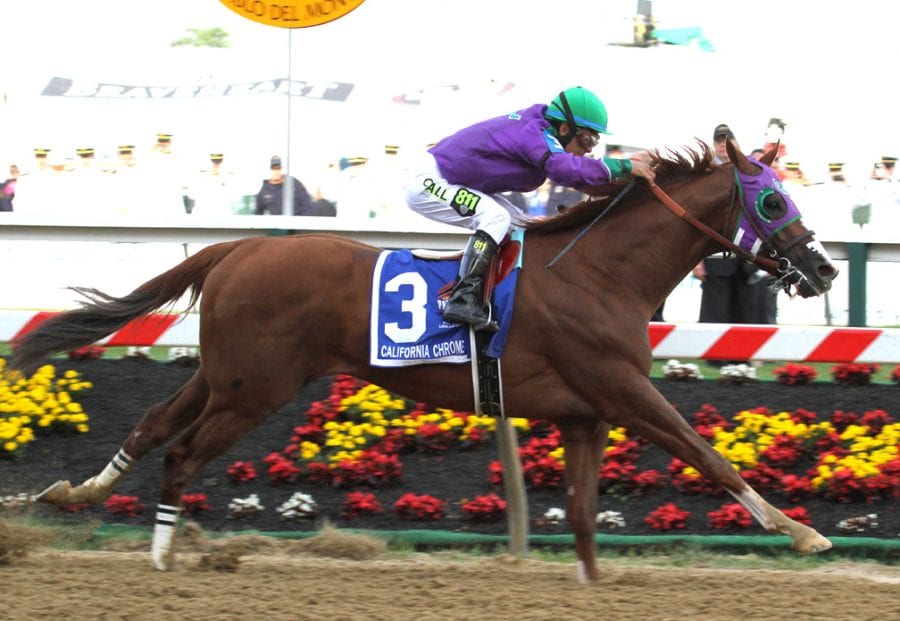 Handicappers’ Belmont Stakes selections