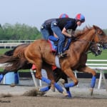 Preakness Profiles: Ria Antonia