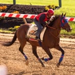 Preakness notes for May 10: ‘Ring’ in the new?