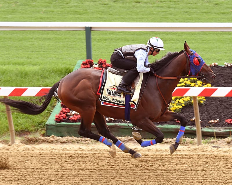 Preakness notes for May 12: Arrivals