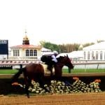 Maryland Handicapping Series third leg set for Preakness day