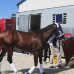Parimutuel wagering boosts Virginia Gold Cup