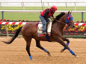 Social Inclusion on the track at Pimlico.  Photo by Jim McCue, Maryland Jockey Club.