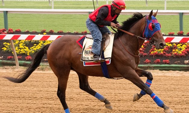 Preakness notes: General a Rod to join the fray