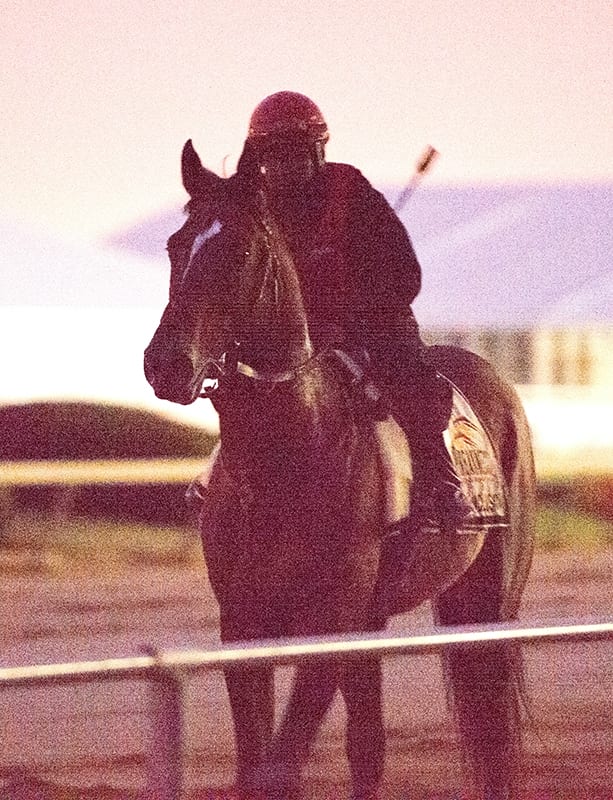 Social Inclusion gallops a mile at Pimlico