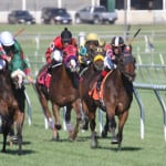 Whereshetoldmetogo prevails in New Castle