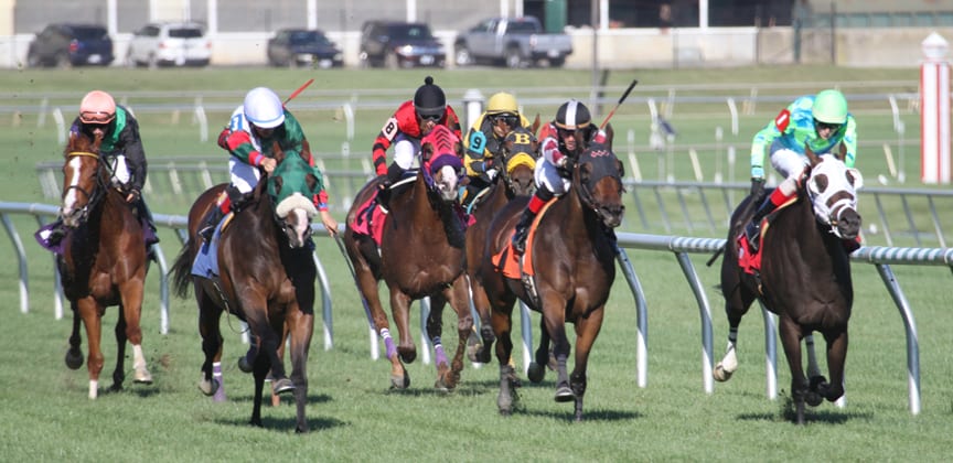 Meadowlands cancels Saturday card