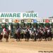 Delaware Park