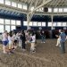 Laurel Park