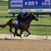 Fasig-Tipton