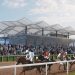 Pimlico