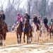 Laurel Park